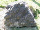 image of grave number 500166
